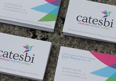 Catesbi - Branding and Logo Design